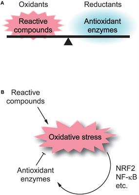 Role of Oxidative Stress and Ca2+ Signaling in Psychiatric Disorders